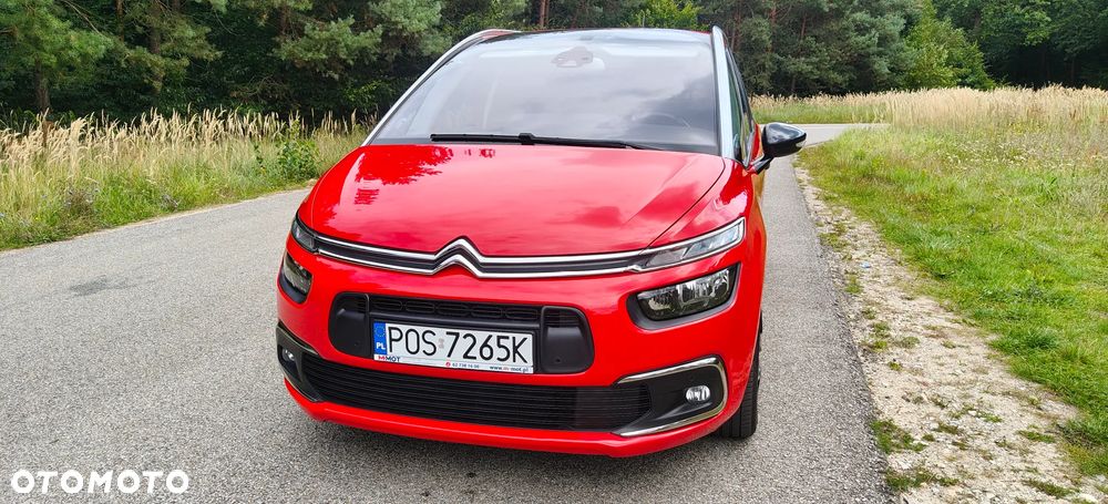 Citroën C4 SpaceTourer 1.5 BlueHDi More Life S&S EAT8 - 12