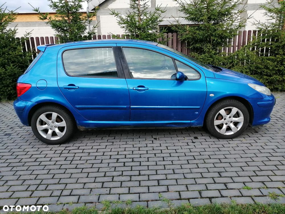 Peugeot 307 1.6 Premium - 15