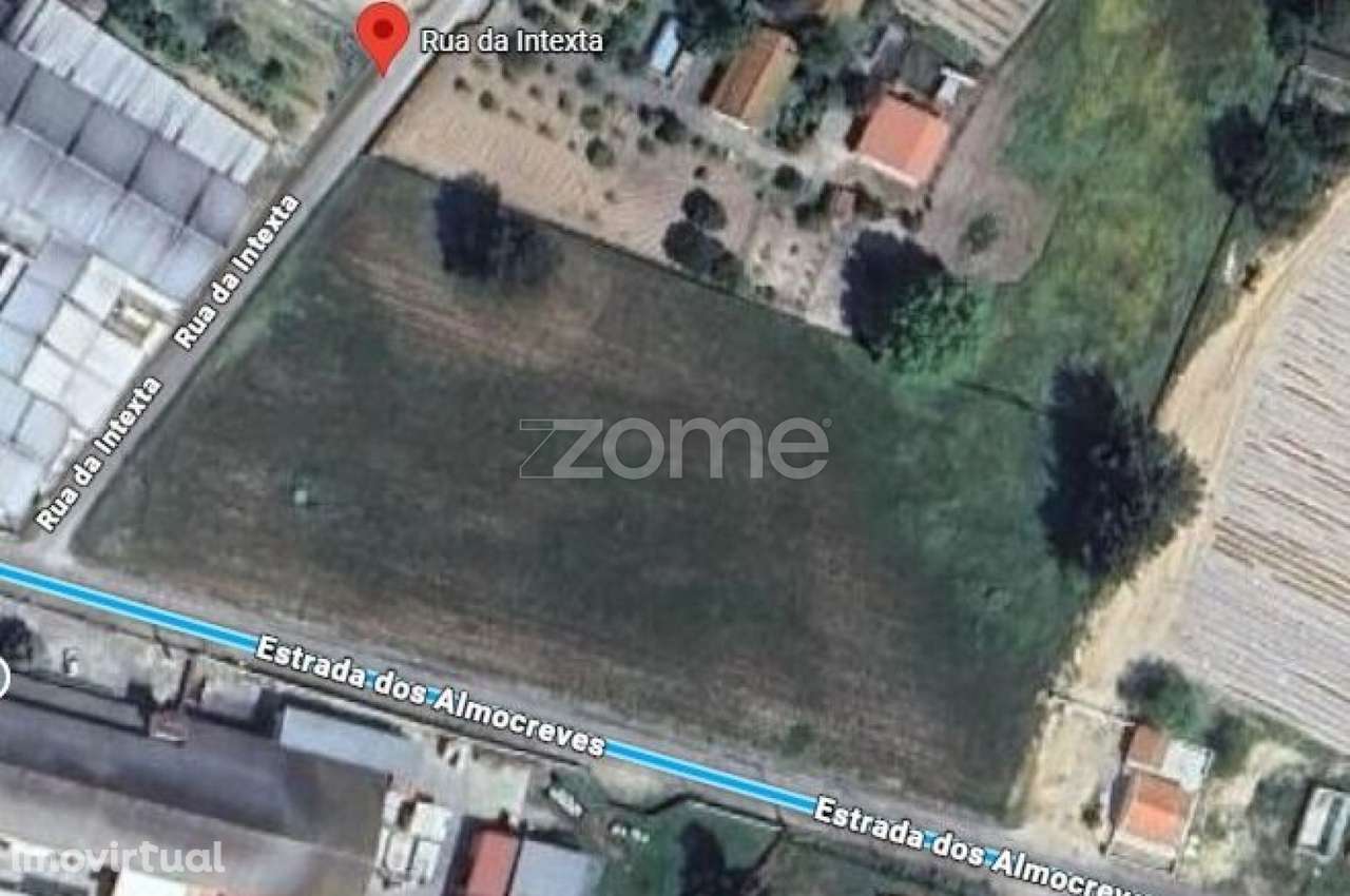 Terreno Rustico | Salvaterra de Magos - Grande imagem: 2/9