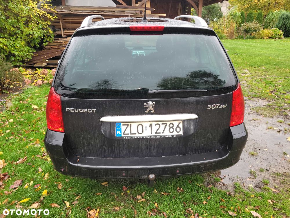 Peugeot 307 2007 photo 4