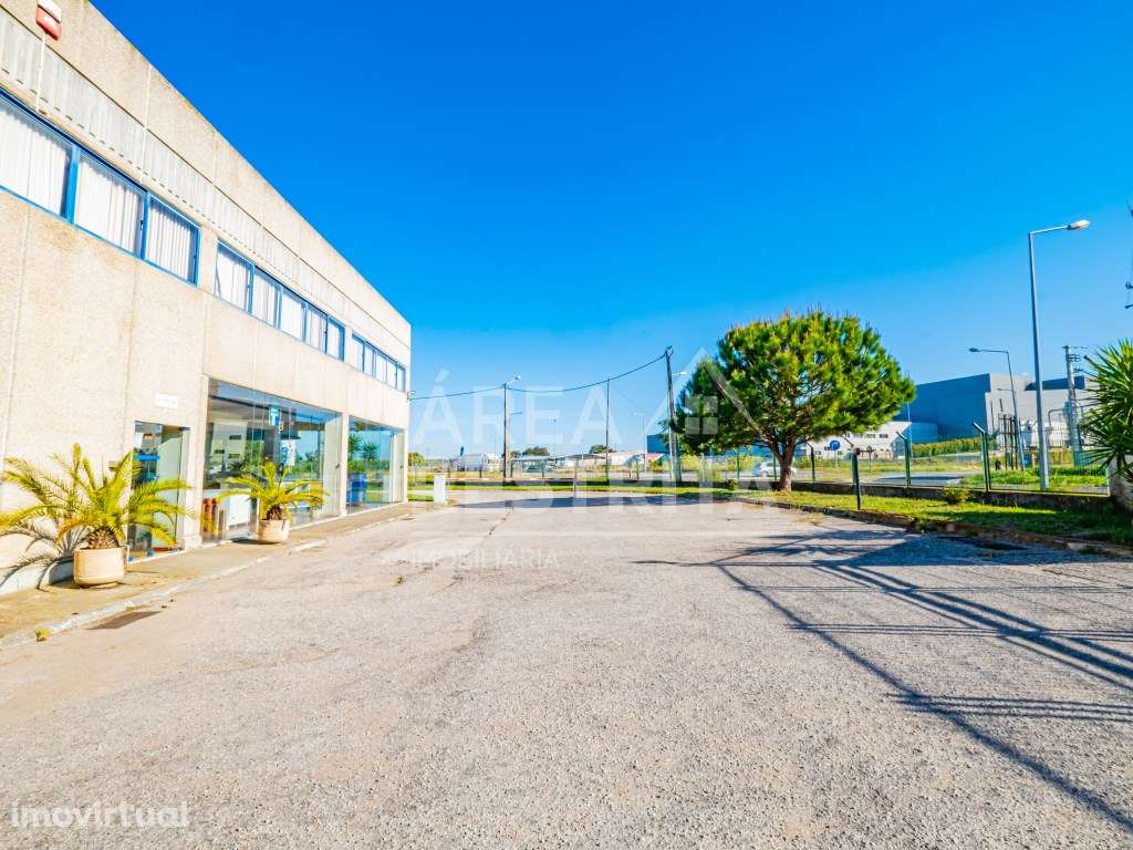 Fábrica/Armazém industrial (4540 m²) - Montijo (junto à A33, A12, A... - Grande imagem: 2/48