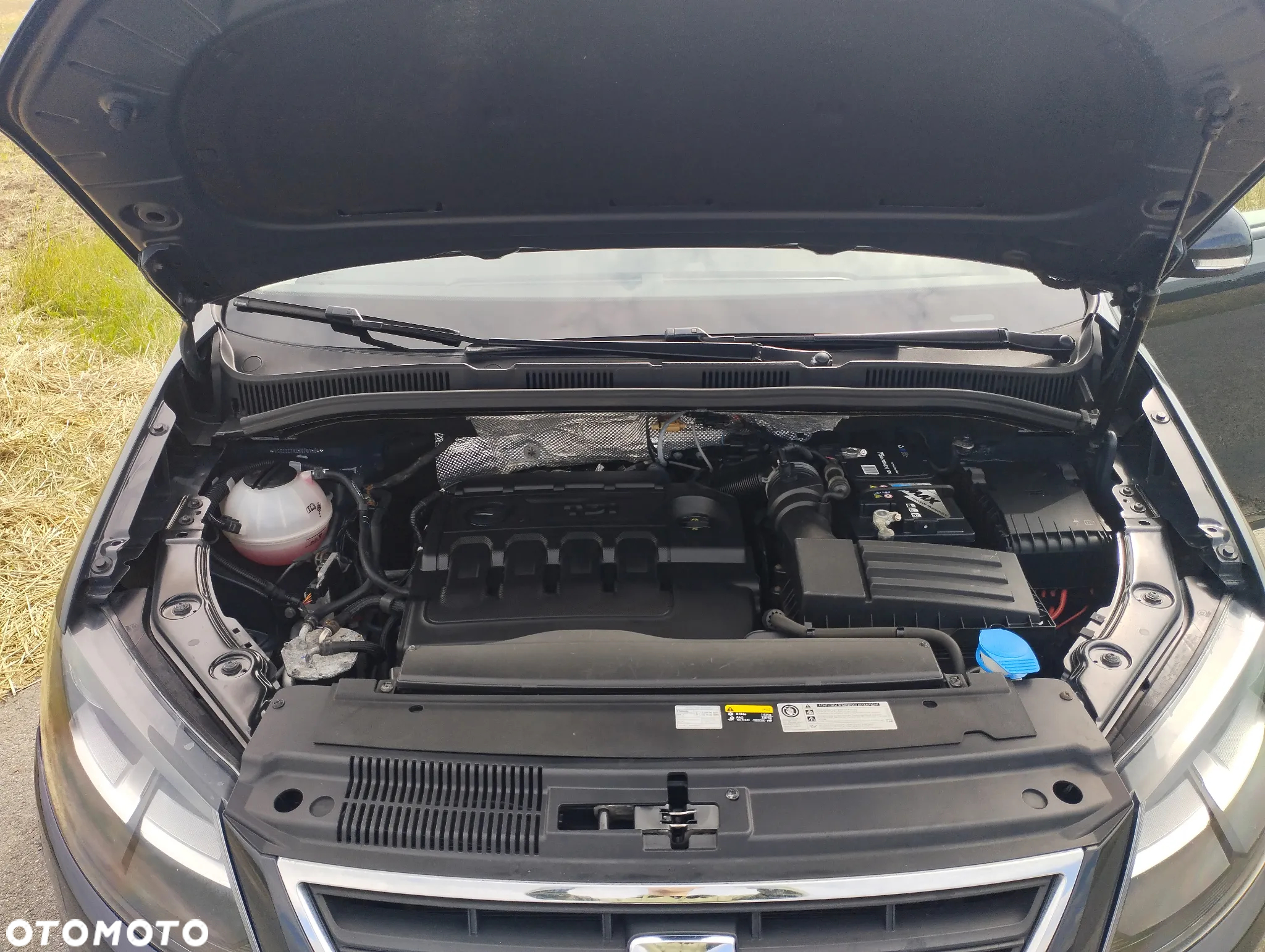 Seat Alhambra - 34