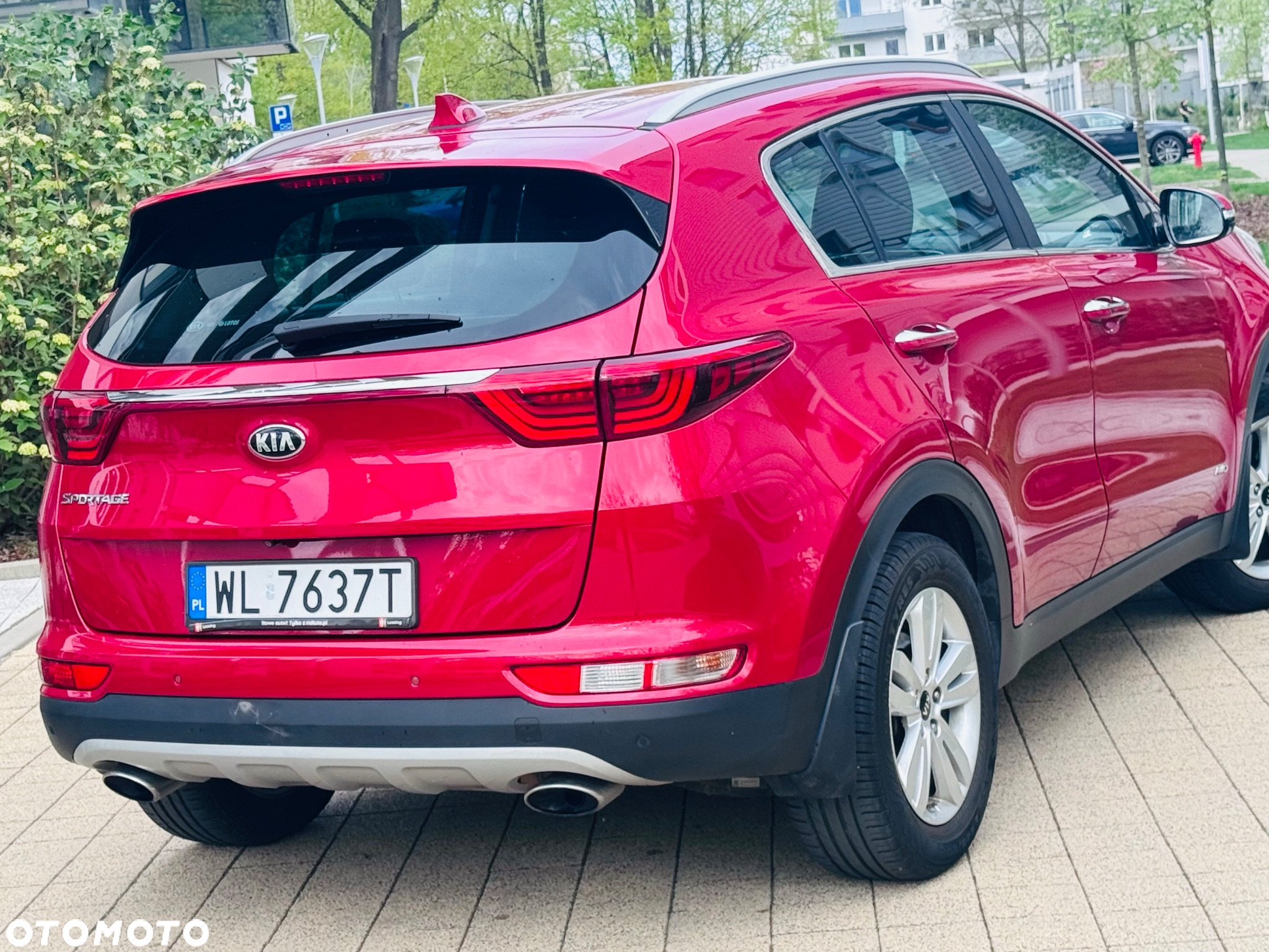 Kia Sportage 1.6 T-GDI Business Line 4WD DCT - 13