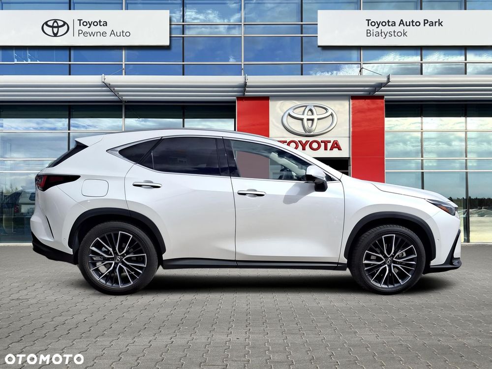 Lexus NX - 6