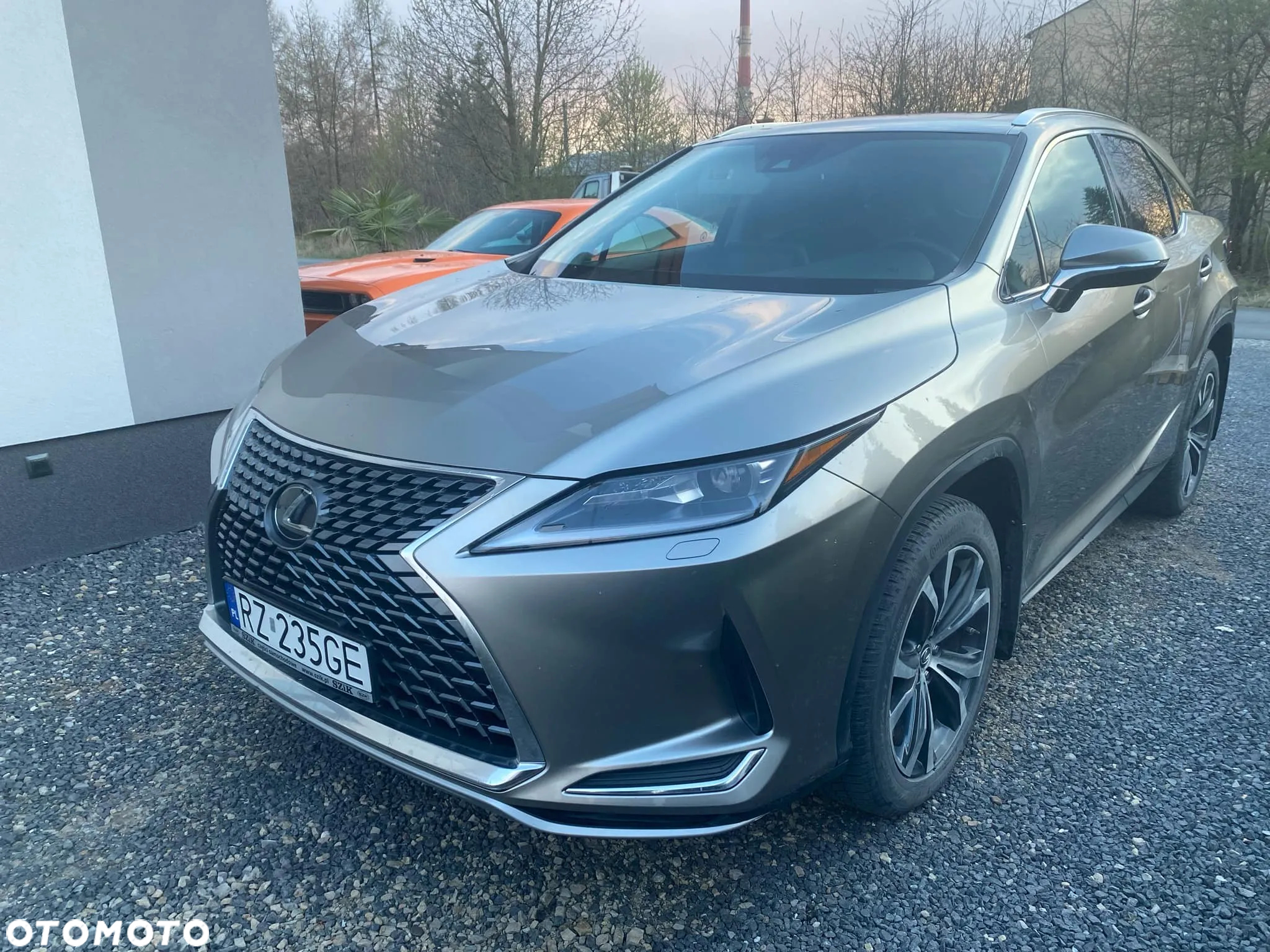 Lexus RX - 3