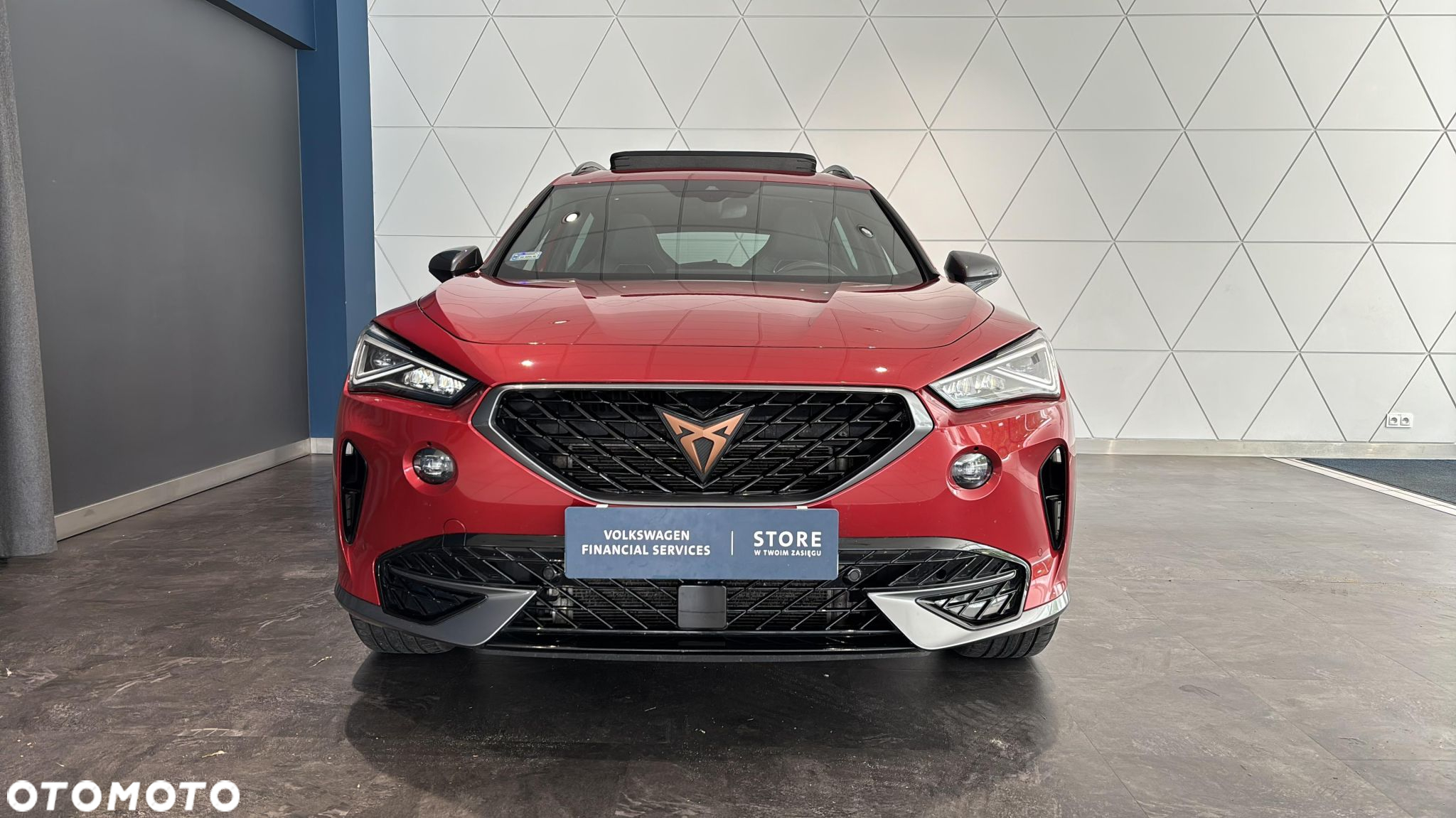 Cupra Formentor 2.0 TSI 4Drive DSG - 8