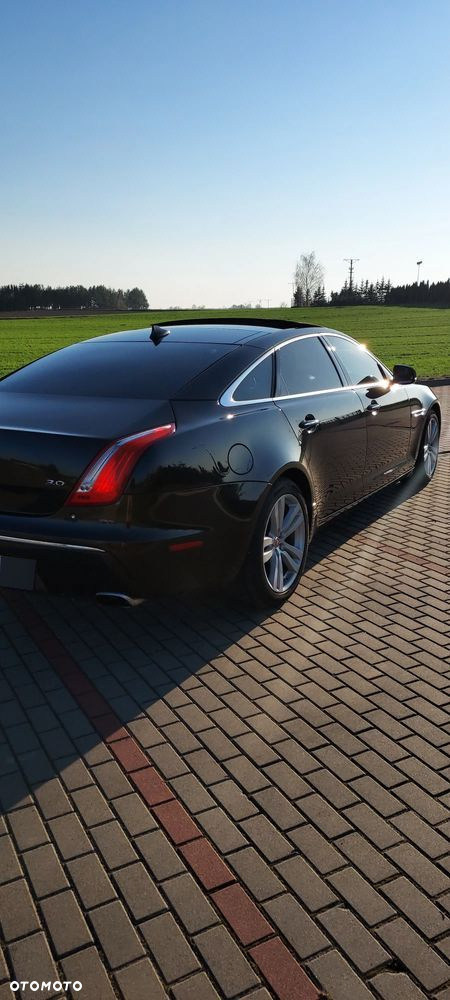 Jaguar XJ 3.0 V6 Kompressor Portfolio - 12