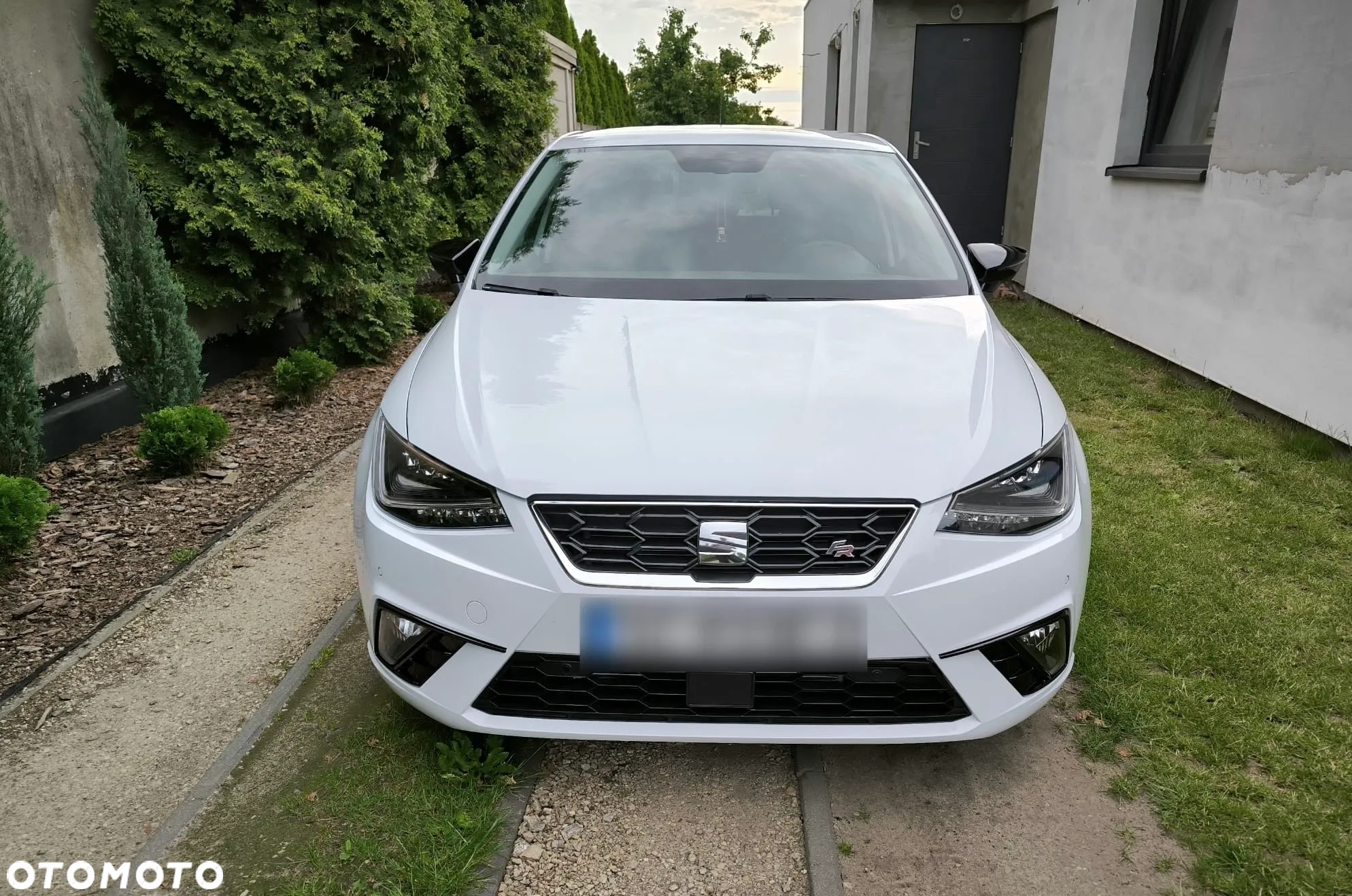 Seat Ibiza 1.0 EcoTSI S&S FR - 2