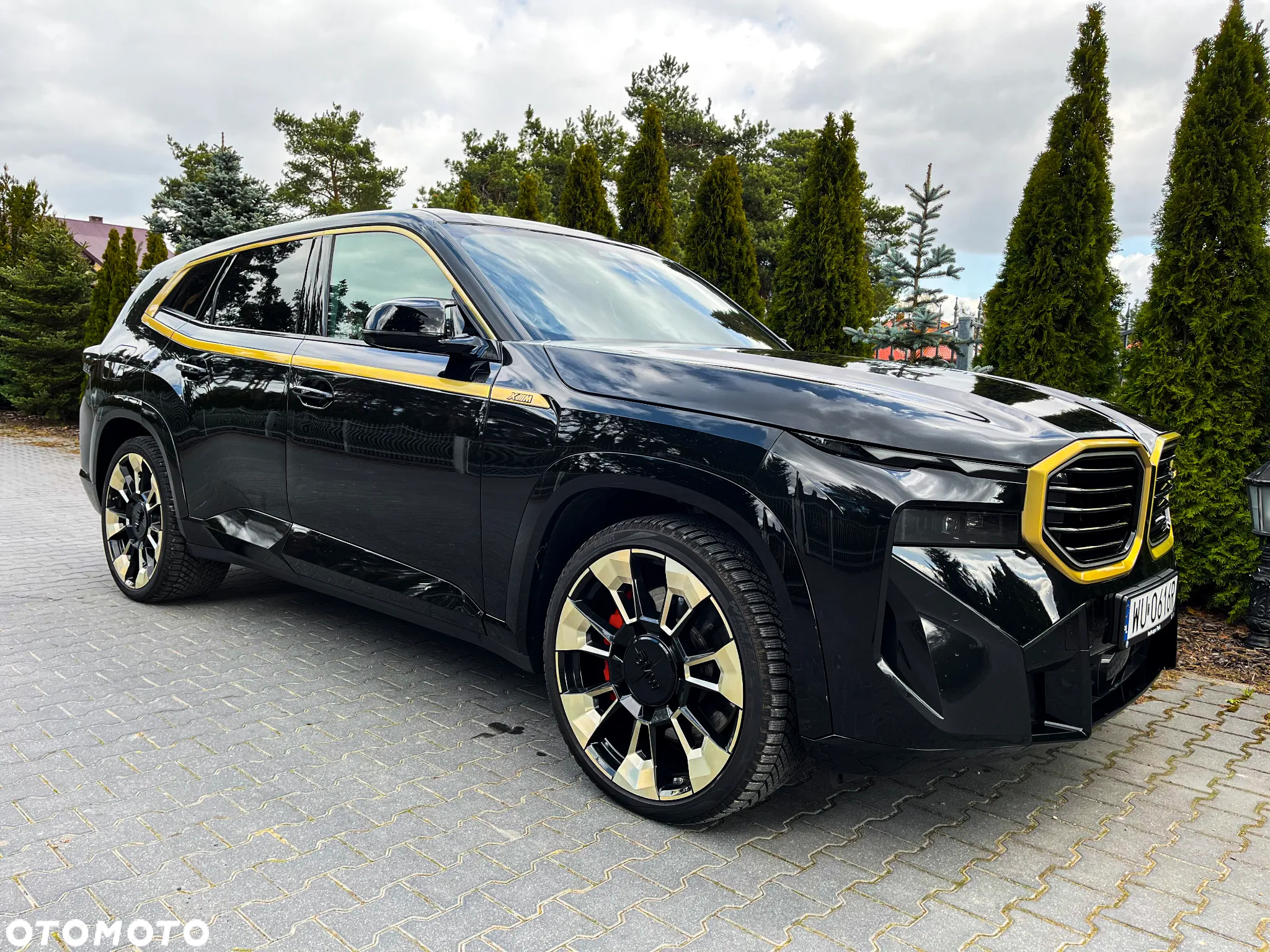 BMW XM PHEV sport - 7