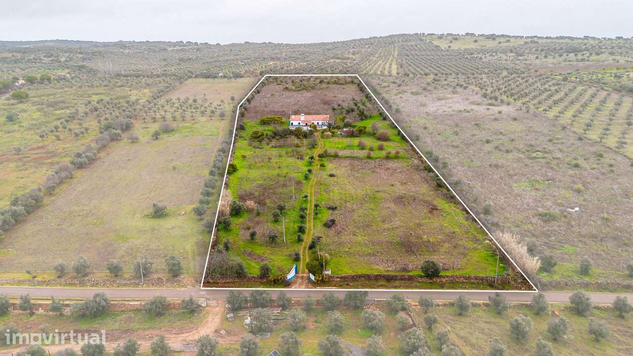 Herdade Proximo a Elvas - Grande imagem: 3/46