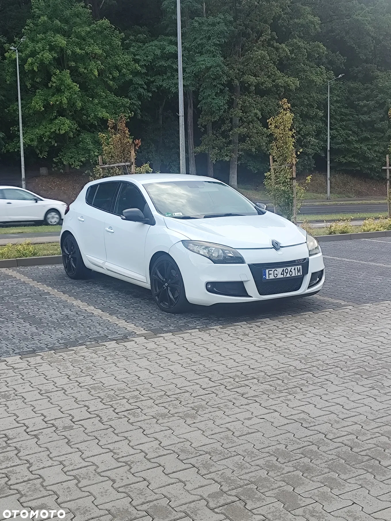 Renault Megane 2.0 dCi 16V Privilege - 2
