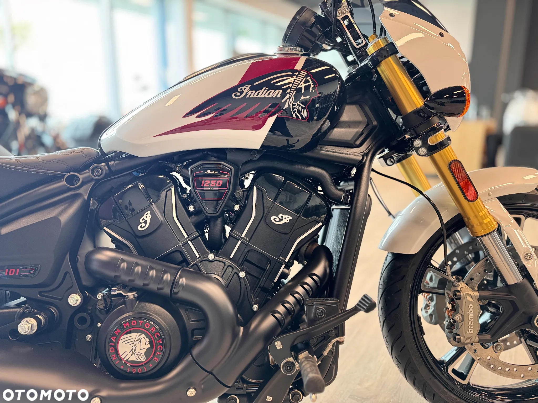 Indian Scout - 4