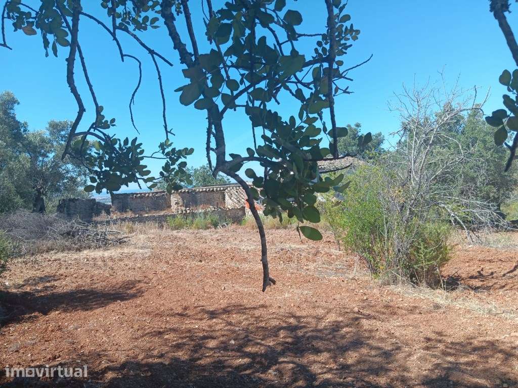 Terreno com ruína, vista mar, Santa Bárbara de Nexe, Faro, Algarve - Grande imagem: 2/29