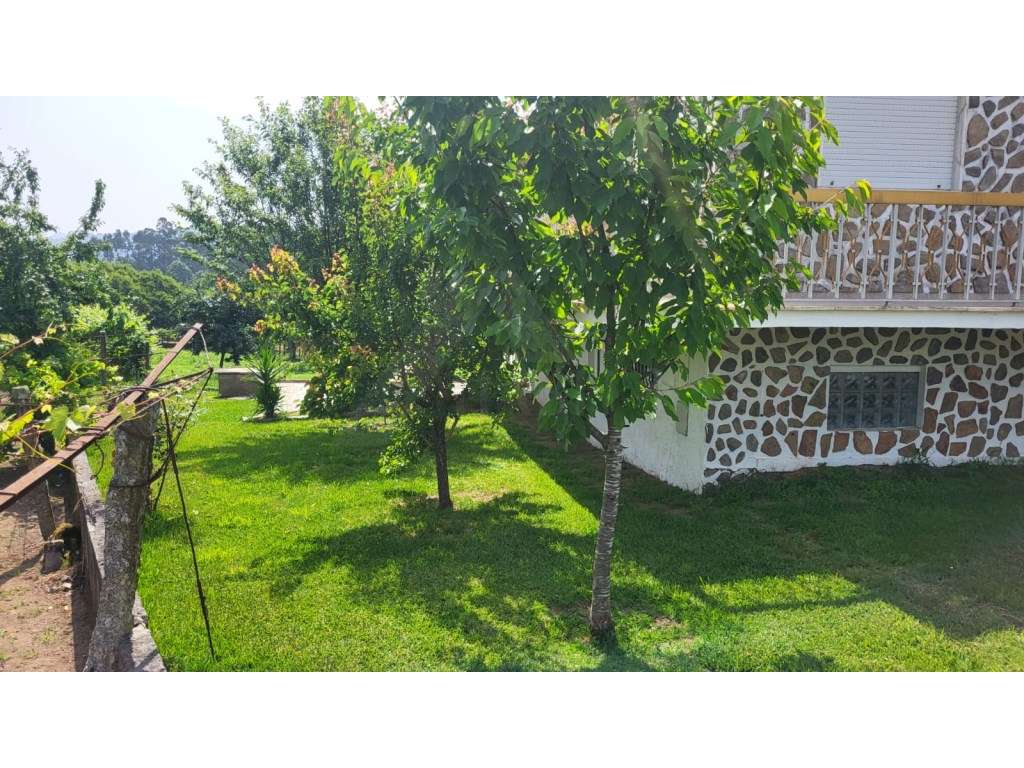 Moradia T6 com Jardim, Adega e Terreno com Potencial de Construção - Grande imagem: 5/33