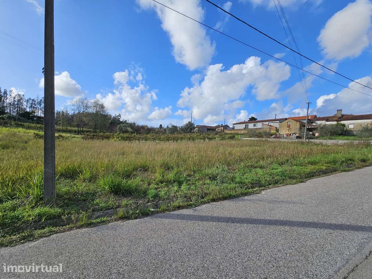 Terreno Valongo Vouga 50m Frente - Ótima Exposição - Grande imagem: 2/10