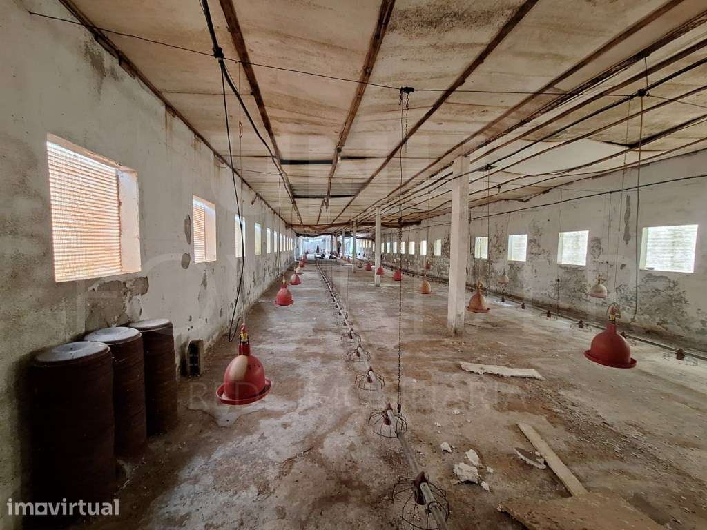 Moradia T2 - Fontoura, Valença - Grande imagem: 3/33