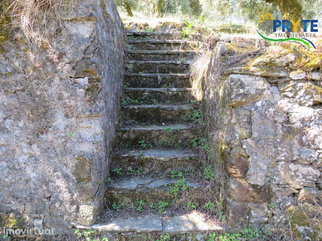 Moradia com pequeno quintal a 5 minutos da Vila da Sertã - Grande imagem: 4/51