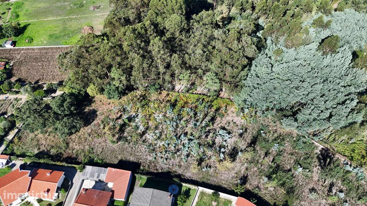 Terreno para Construção para Empreendimento Habitacional com PIP APROV - Grande imagem: 3/8