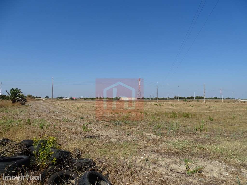 Terreno Agrícola com 21.430 m2 em Benavente - Grande imagem: 3/10