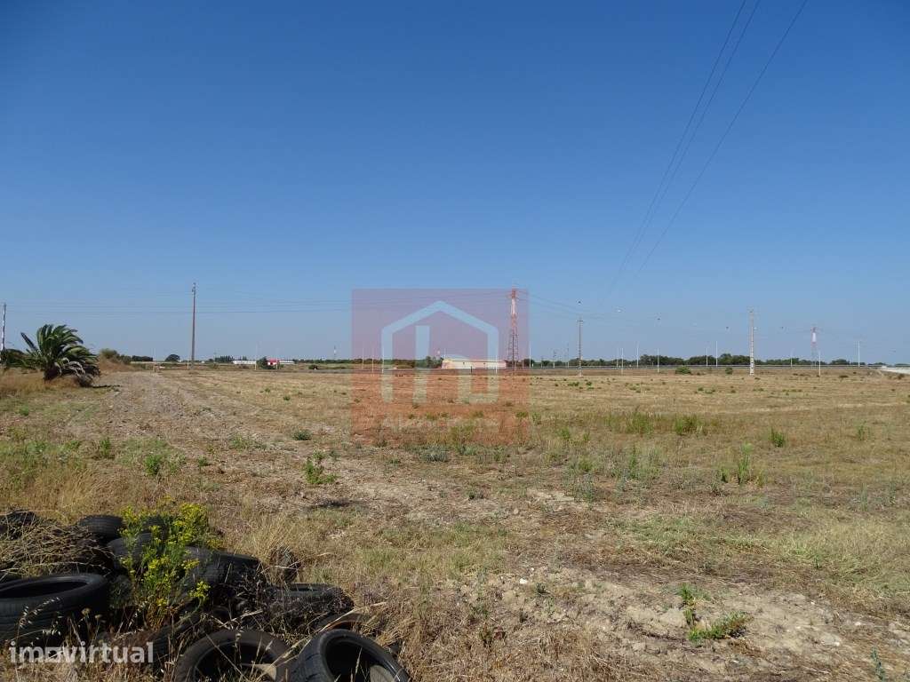 Terreno Agrícola com 21.430 m2 em Benavente - Grande imagem: 3/10