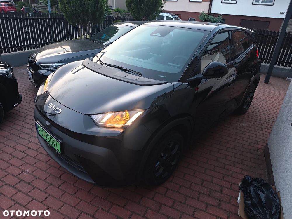 BYD Dolphin Surf 43.2kWh Boost - 26