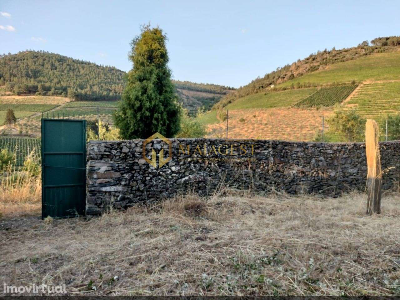 Terreno Agrícola para produção de Vinho - Grande imagem: 2/20