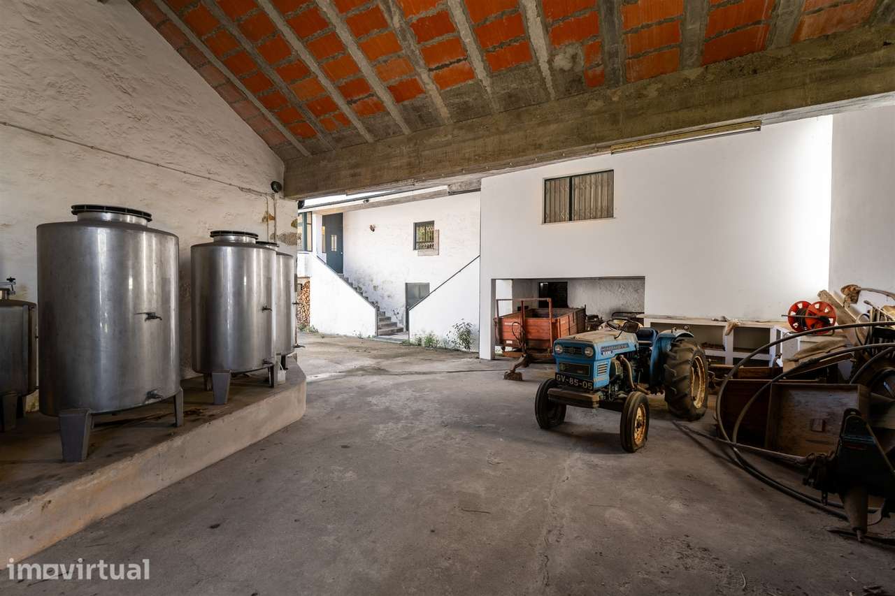 Moradia Isolada T2 Venda em Lobão, Gião, Louredo e Guisande,Santa Mari - Grande imagem: 5/43