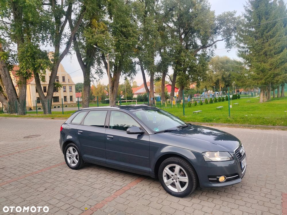 Audi A3 Sportback 1.6 Ambiente - 24