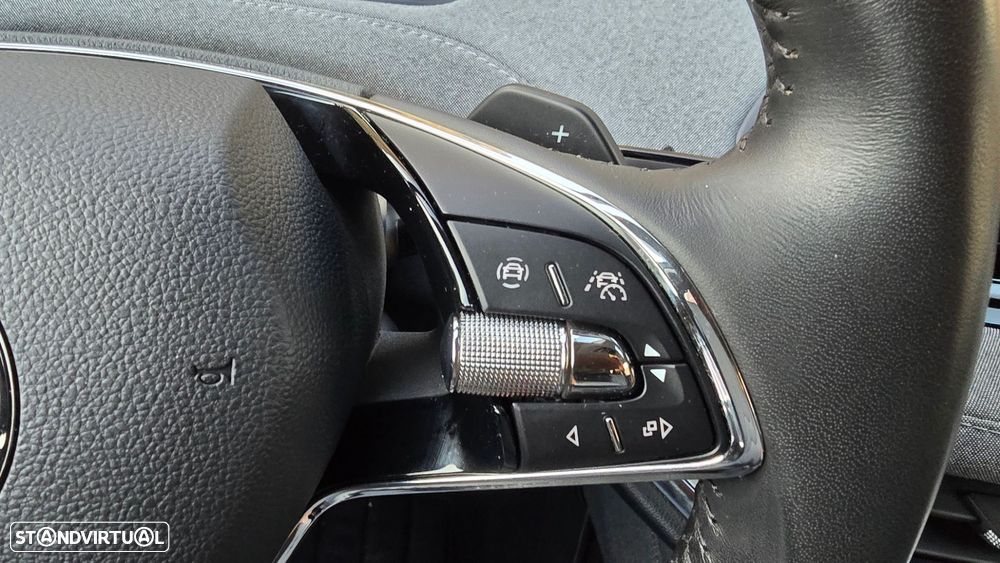 Skoda Enyaq iV 80 - 17