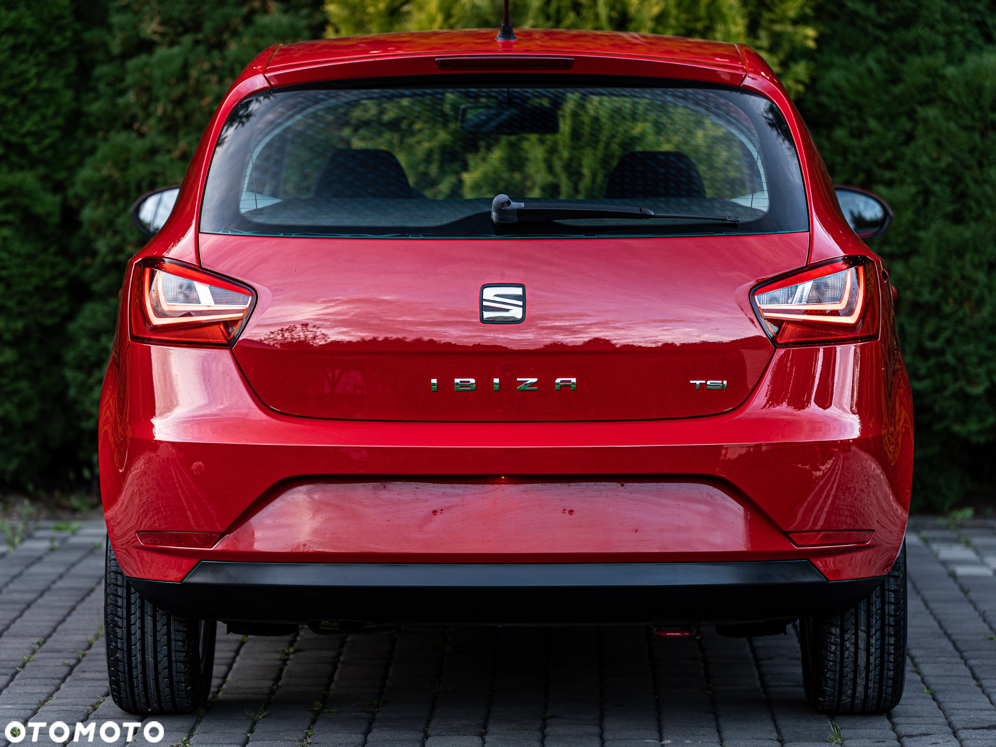 Seat Ibiza 1.2 TSI Style Salsa - 15