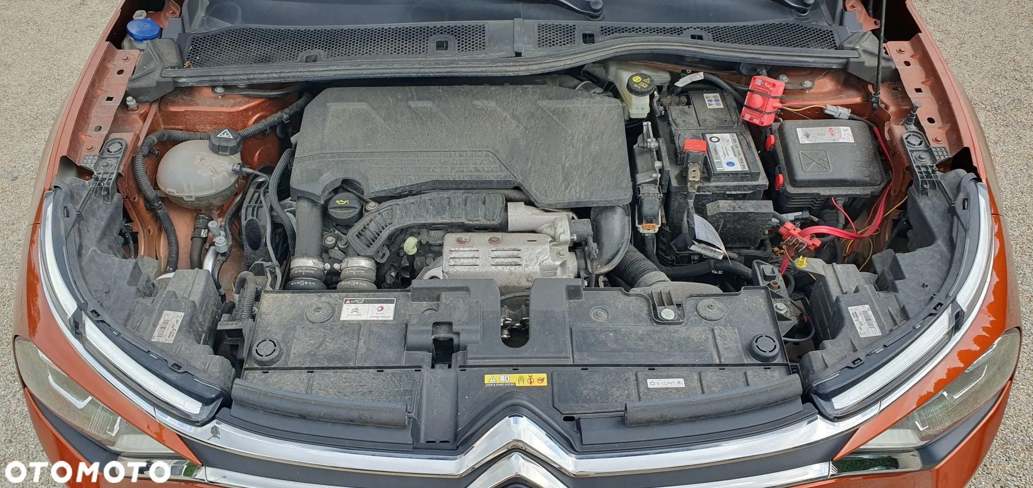 Citroën C4 PureTech 155 Stop&Start EAT8 SHINE - 16