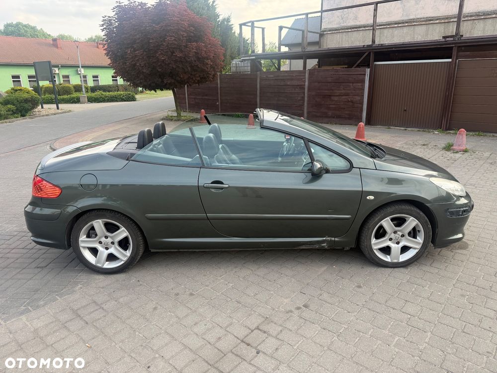 Peugeot 307 CC 2.0 - 8