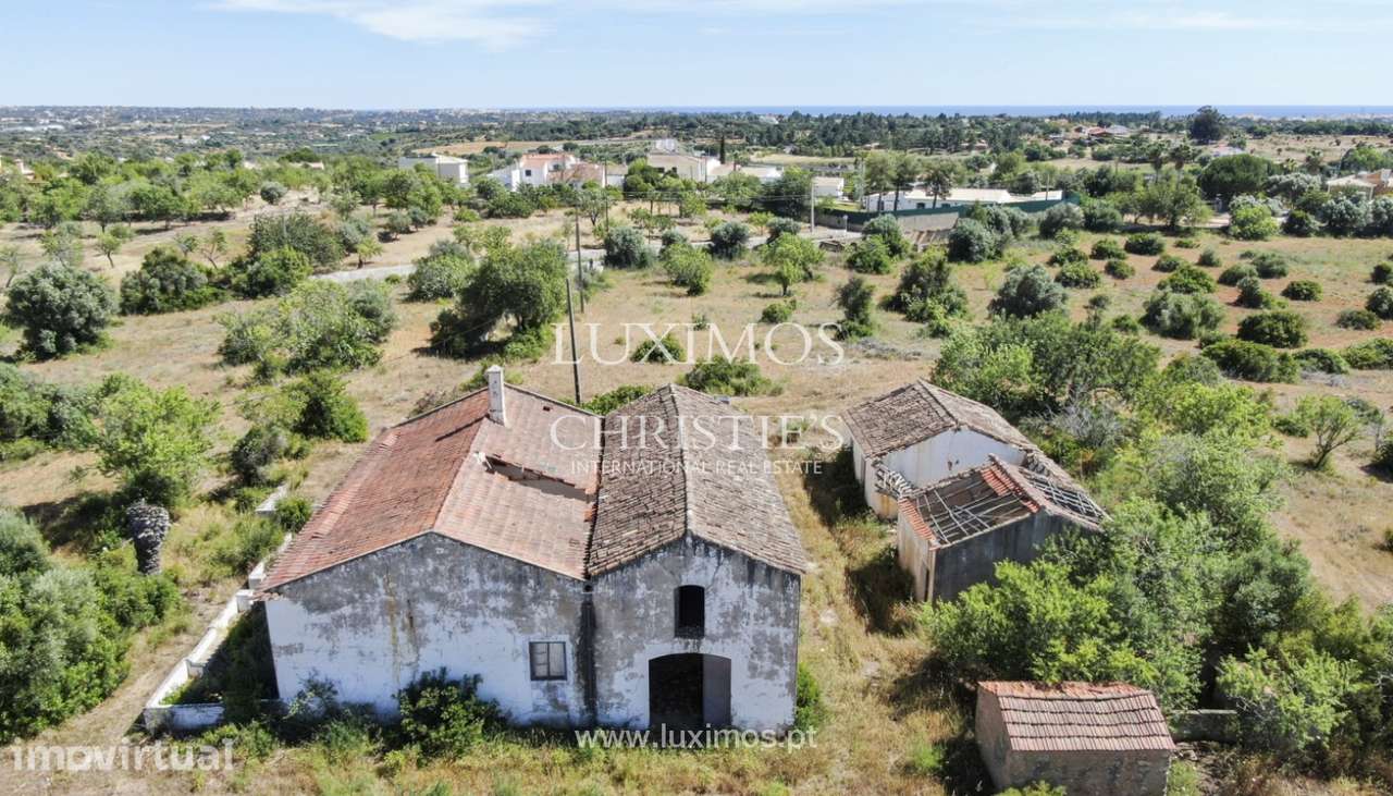 Quinta Rural, para venda, Pêra, Alcantarilha - Grande imagem: 5/22