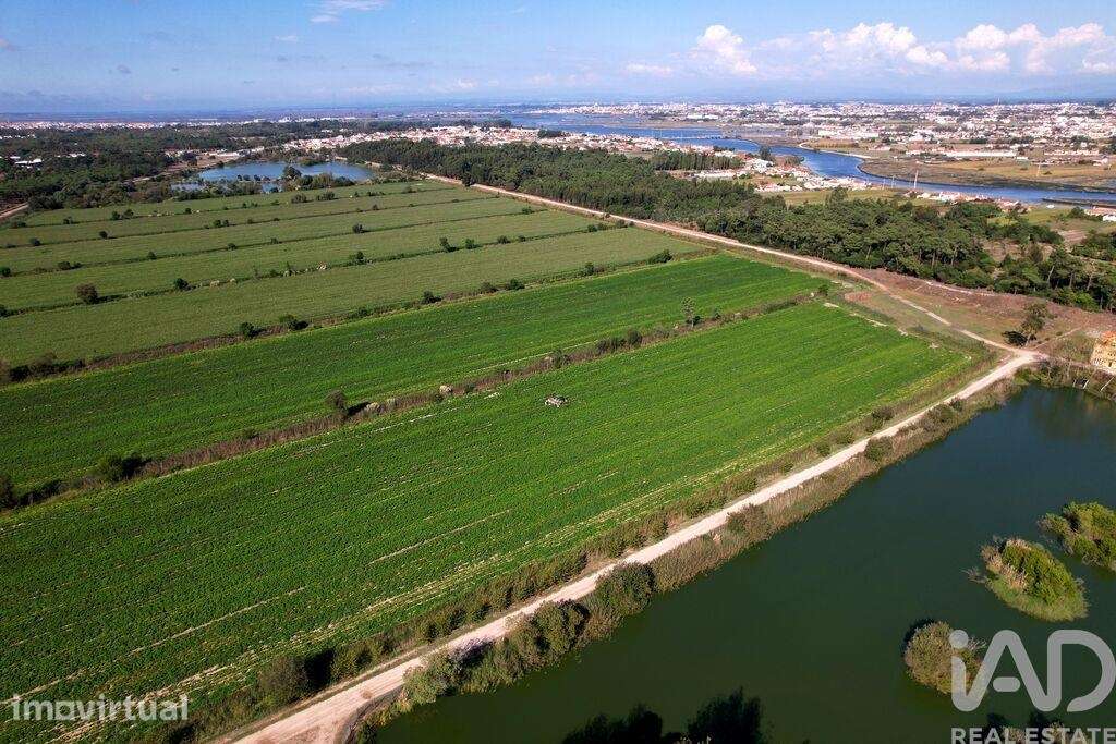 Casa / Villa T8 em Ílhavo (São Salvador) de 1273500,00 m2 - Grande imagem: 3/21