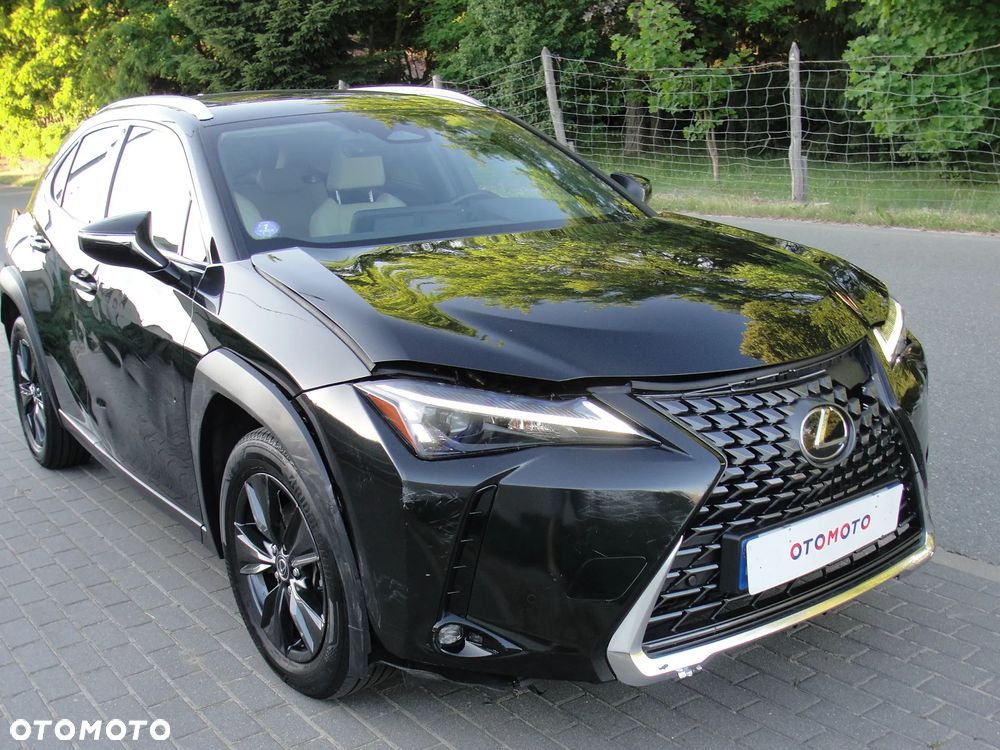 Lexus UX 300h Omotenashi - 4