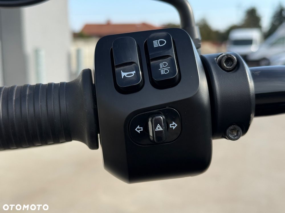 Indian Springfield - 12