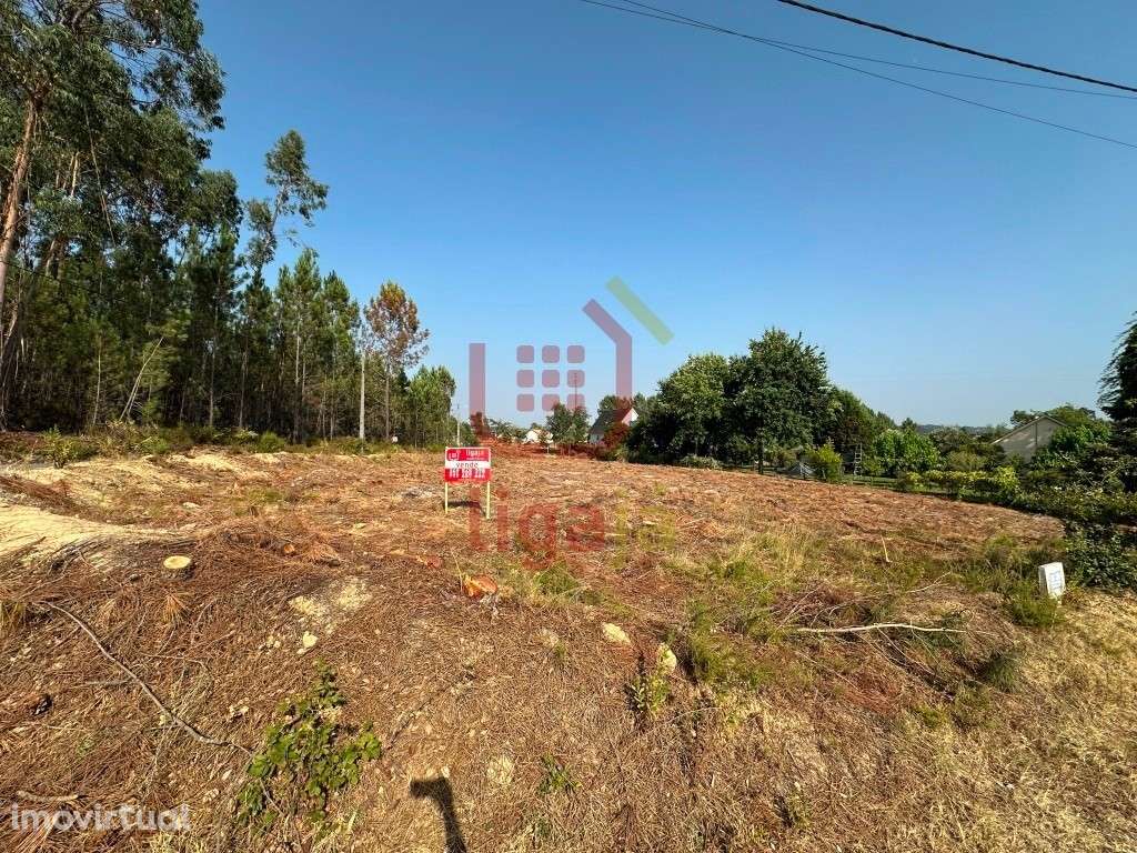 Terreno c/ Viabilidade de Construção! - Grande imagem: 2/5