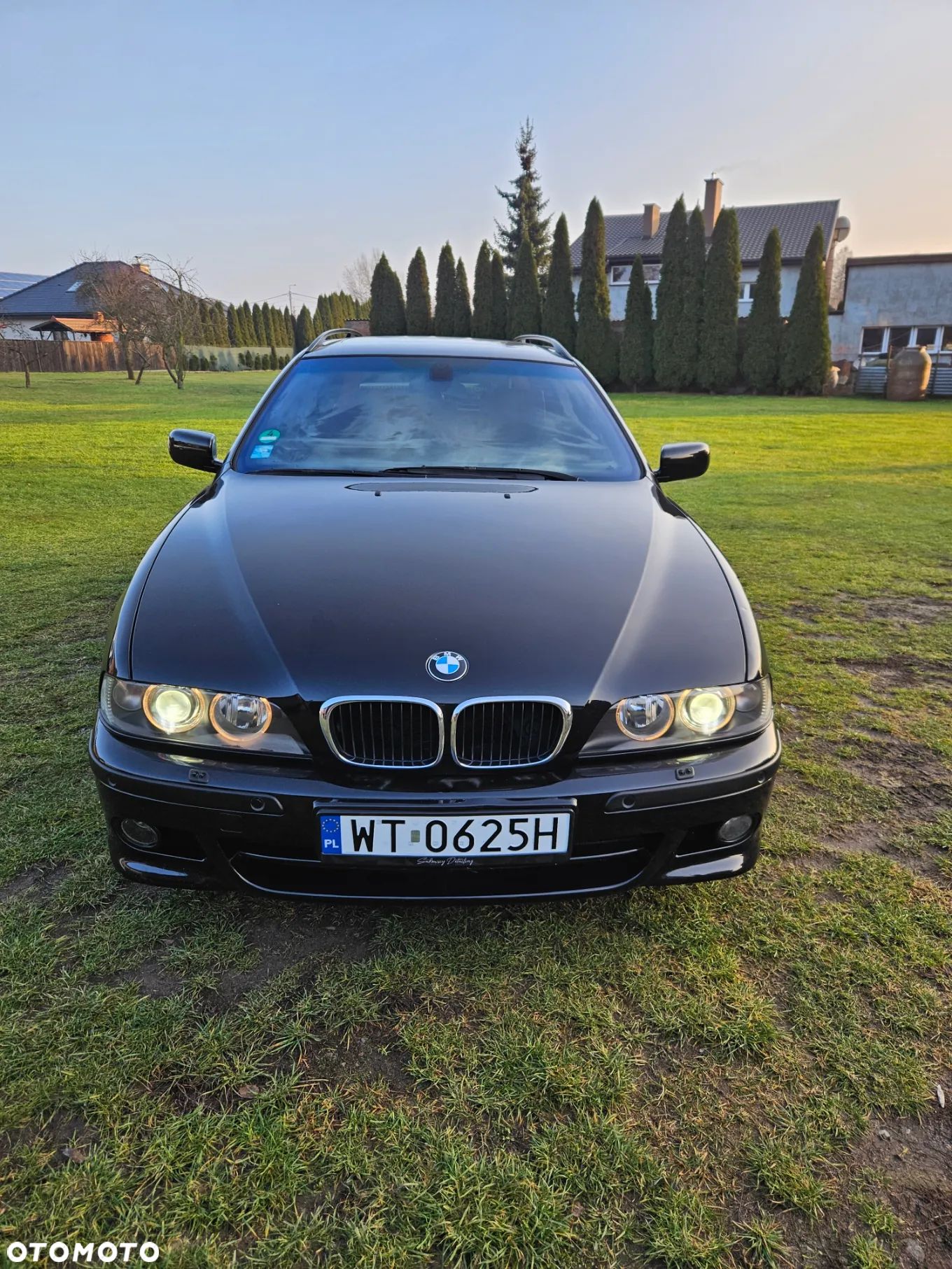 BMW Seria 5 - 1