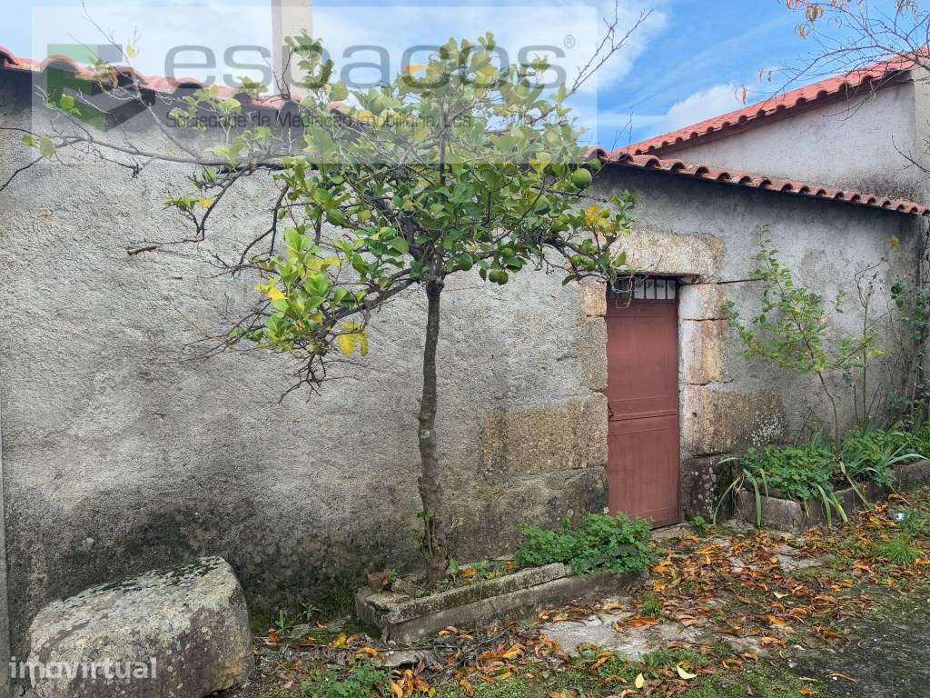 Quinta em Quintas da Torre com casa de Habitação - Grande imagem: 3/41