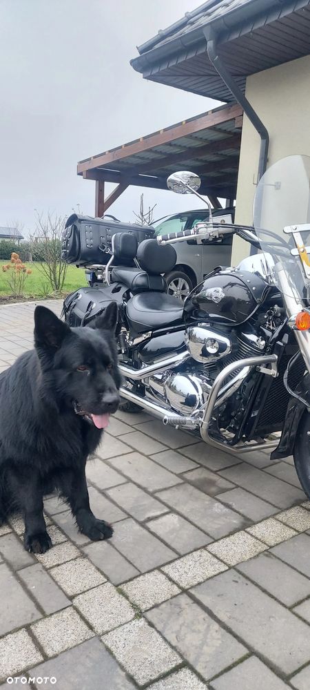 Suzuki VL 800 Volusia - 9