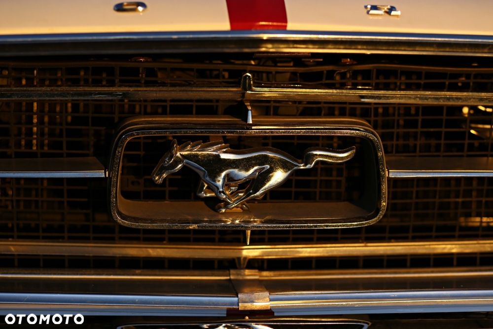 Ford Mustang - 10