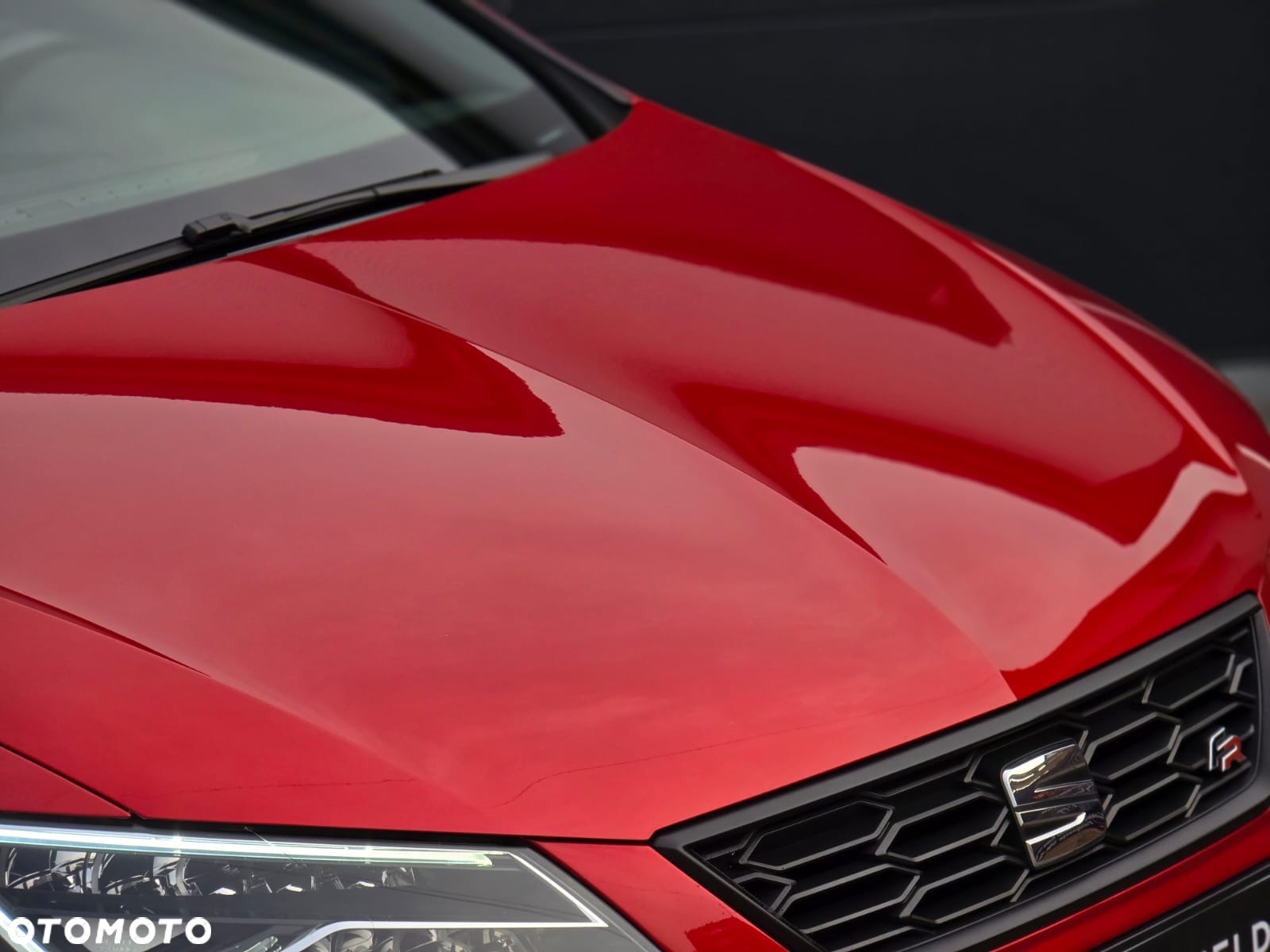 Seat Leon 1.5 EcoTSI Evo FR Black S&S - 9