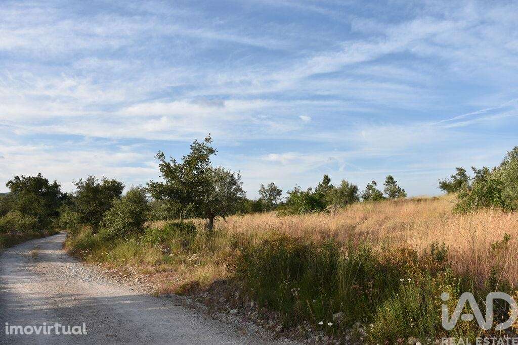 Terreno em Chãos de 8160,00 m2 - Grande imagem: 4/30