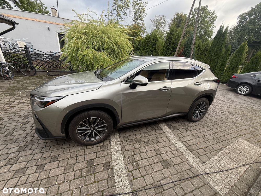 Lexus NX 350h Prestige 2WD - 6