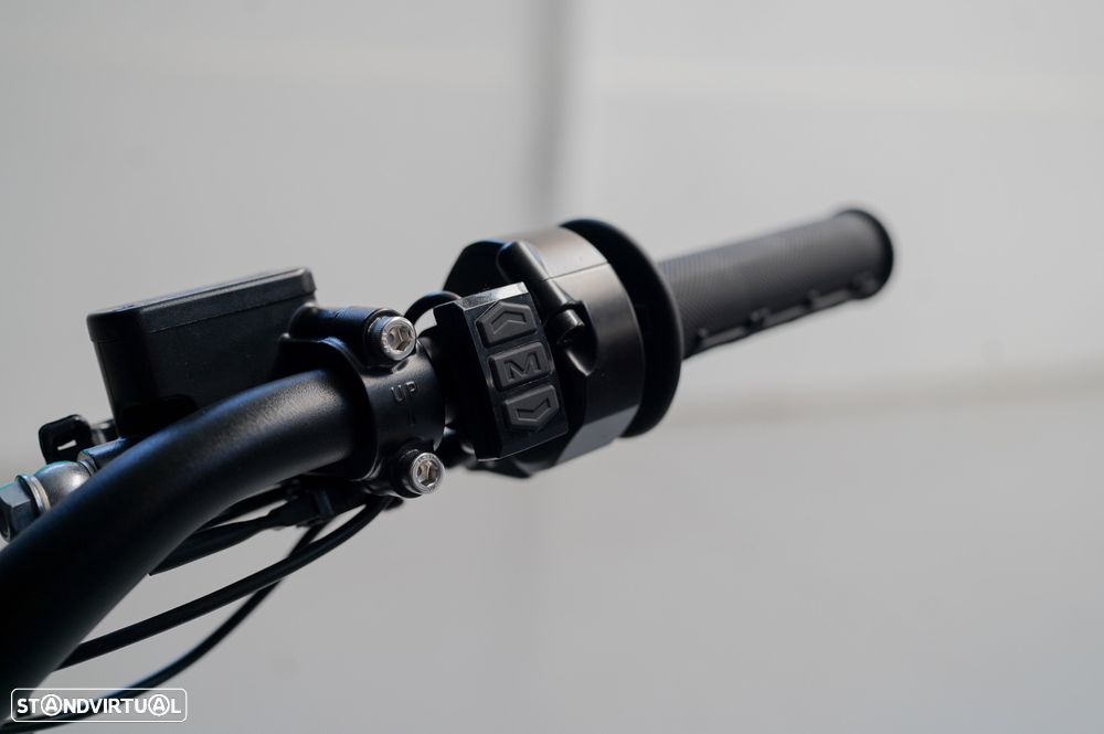 Outra não listada Outra Arctic Leopard XE Pro R - 4