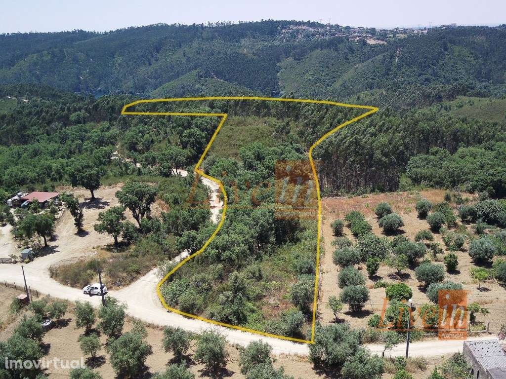 Terreno Rústico com 11400m² em Tomar - Grande imagem: 2/7
