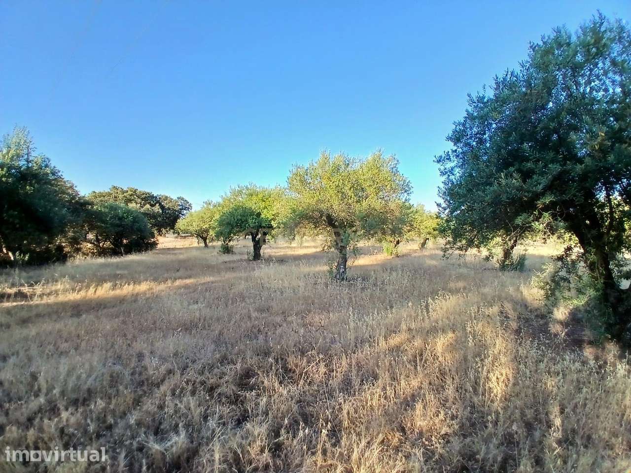 Terreno Central em São Pedro do Corval, Vista para a Rocha dos Namorad - Grande imagem: 4/12