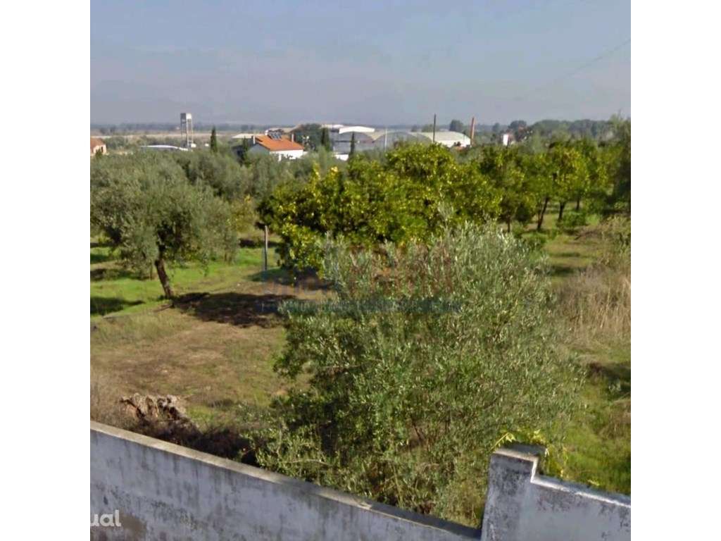 Terreno urbano na chamusca - Santarém - Grande imagem: 4/30
