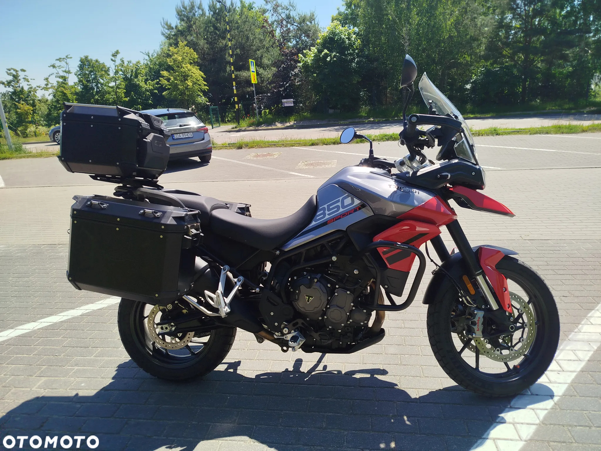 Triumph Tiger - 5