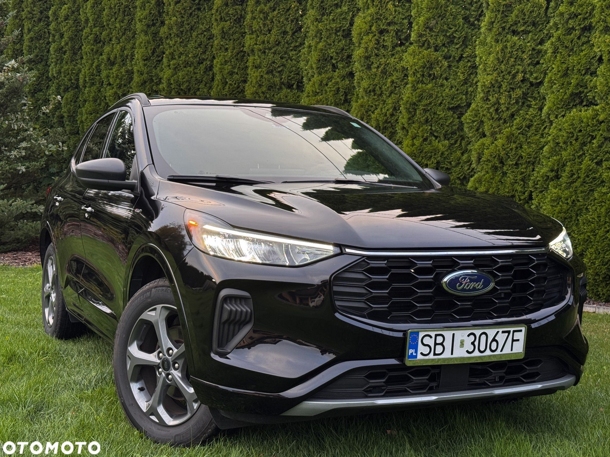 Ford Escape - 1
